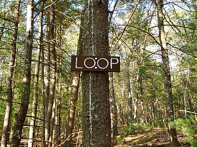 Willowdale Meadow Willowdale Meadow