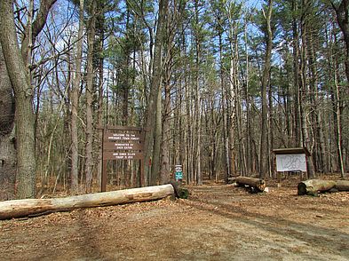 Amesbury Town Forest