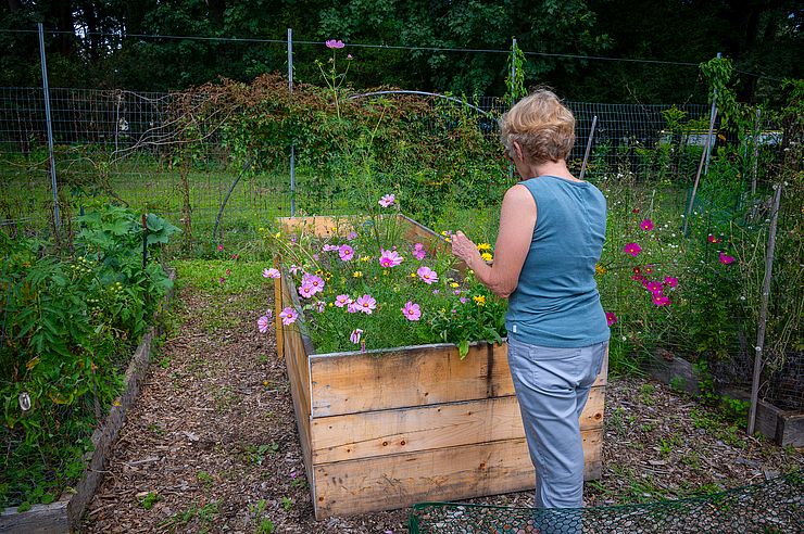 Dodge Farm Community Garden