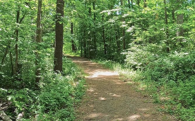 Donibristle Reservation