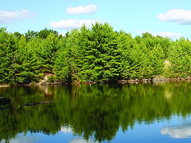 Bald Hill Reservation