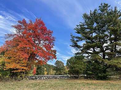 Donovan Sagamore Hill Reservation
