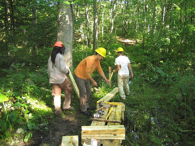 Boardwalk Construction