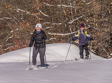 Vineyard Hill Snow Vineyard Hill Snow